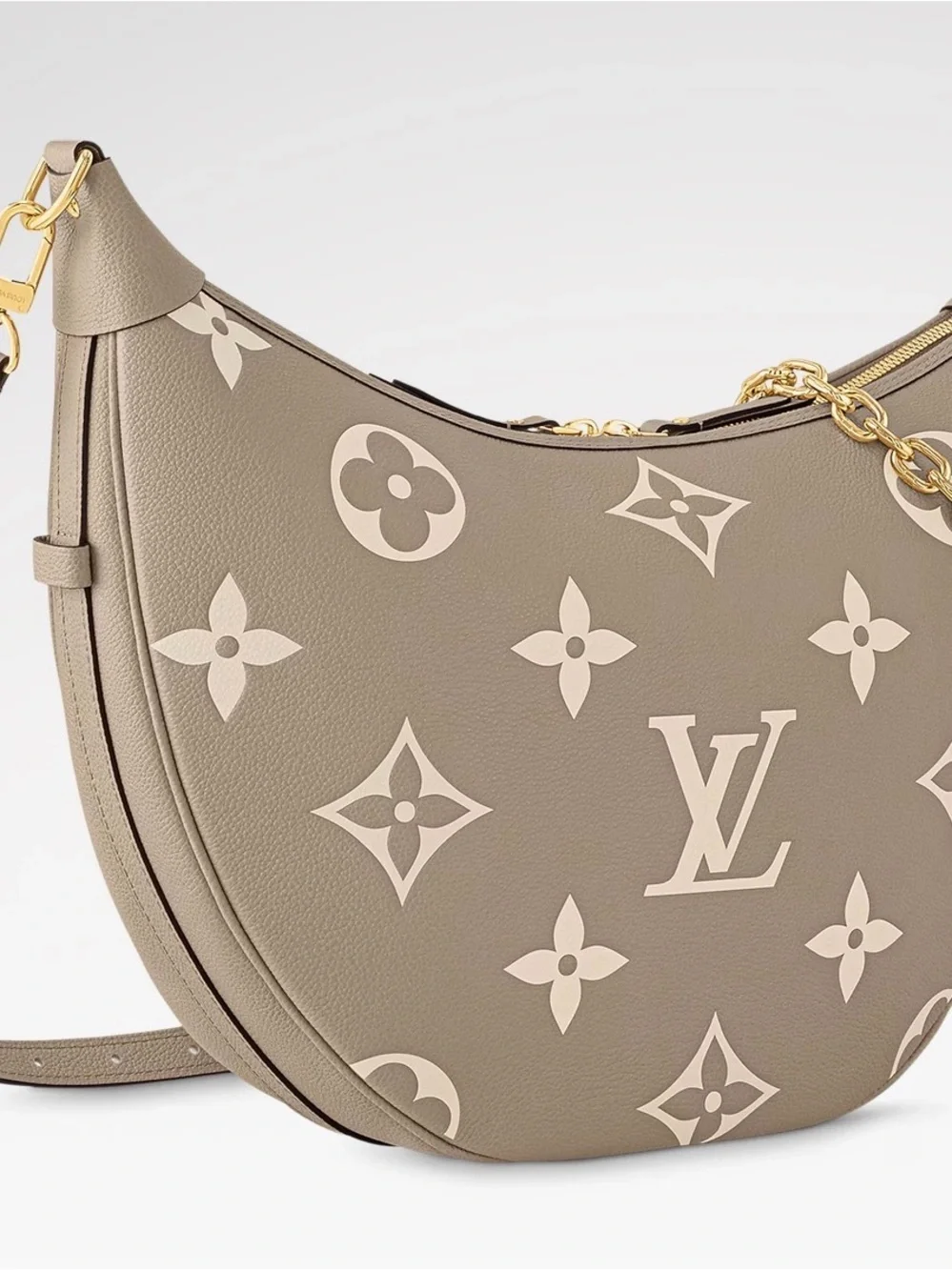 Louis Vuitton Hobo Loop Gray Bag